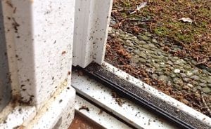 fensterputzen-extrim-schmutzige-fensterrahmen-www.preispasst.de.jpeg