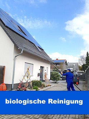 biologische-fenstereinigung-einen-privathaus-mit-telskopische-karbonstange