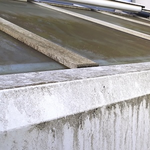 Ein-schmutziger-Wintergarten-bedeckt-mit-Schichten-von-Schmutz-im-Westen-von-Nuernberg